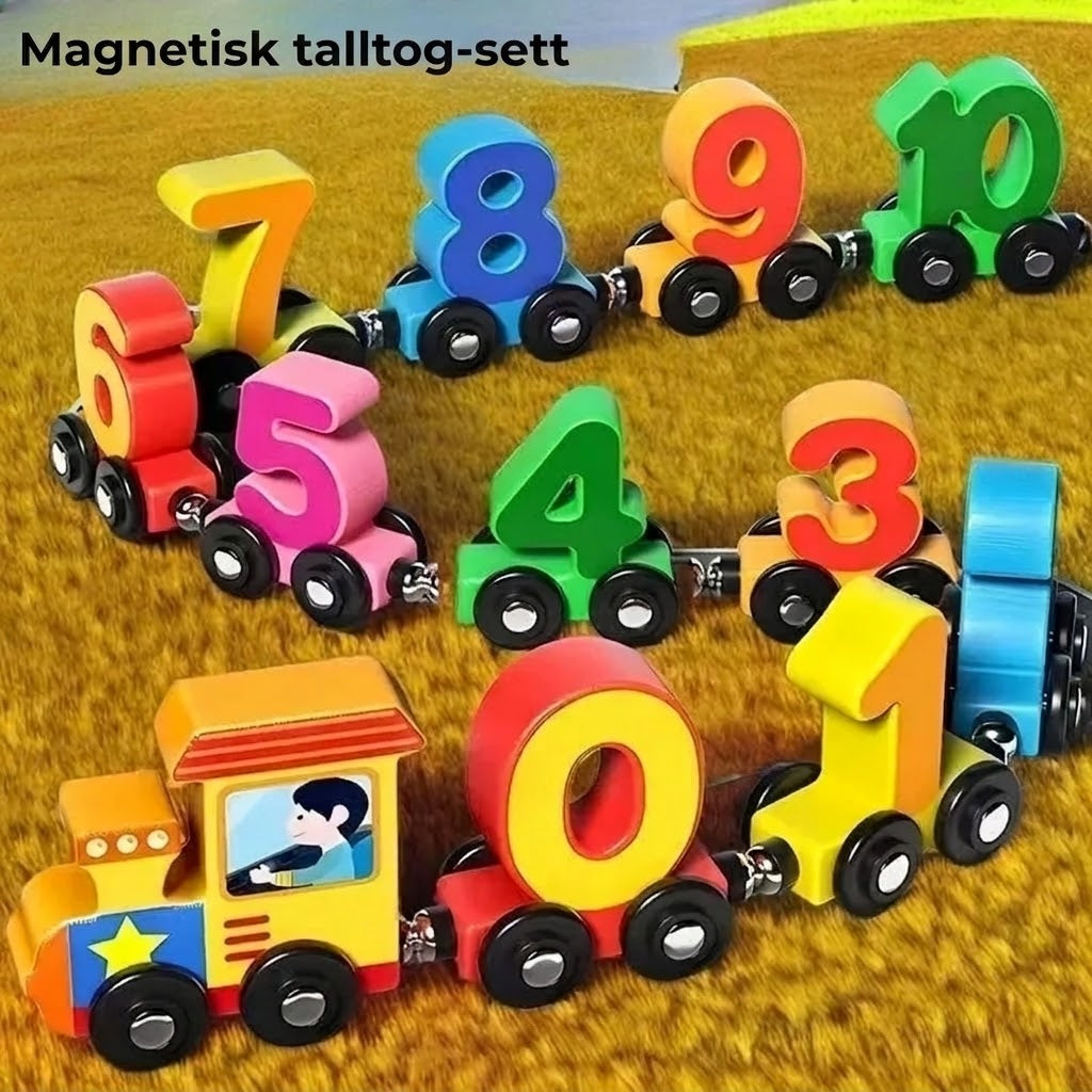 Magnetisk talltog-sett