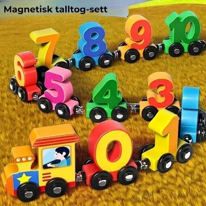 Magnetisk talltog-sett
