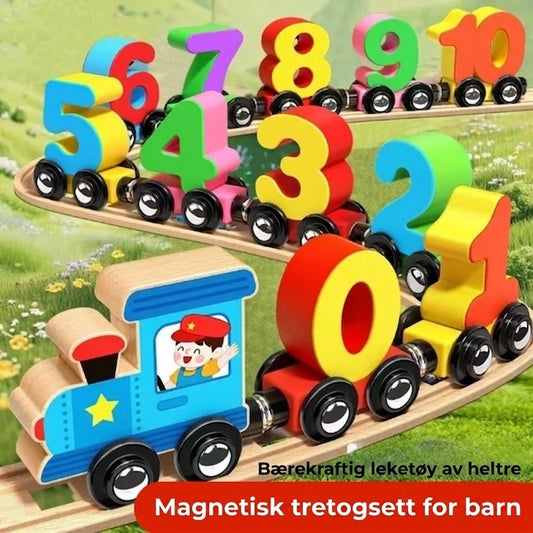 Magnetisk talltog-sett