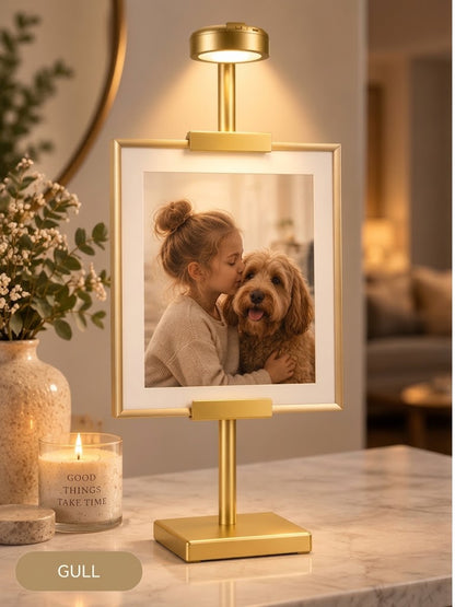 Bildestativ med LED-belysning – For foto og bilder